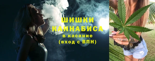 соль ск Белокуриха