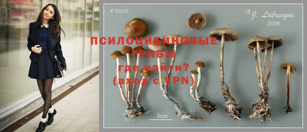 соль ск Белокуриха