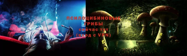 соль ск Белокуриха