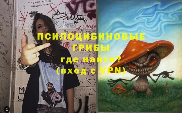 соль ск Белокуриха