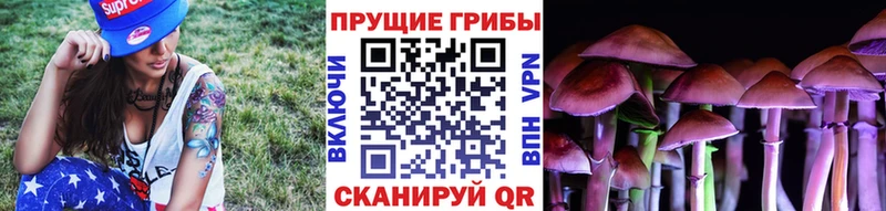 Галлюциногенные грибы ЛСД  Новотитаровская 